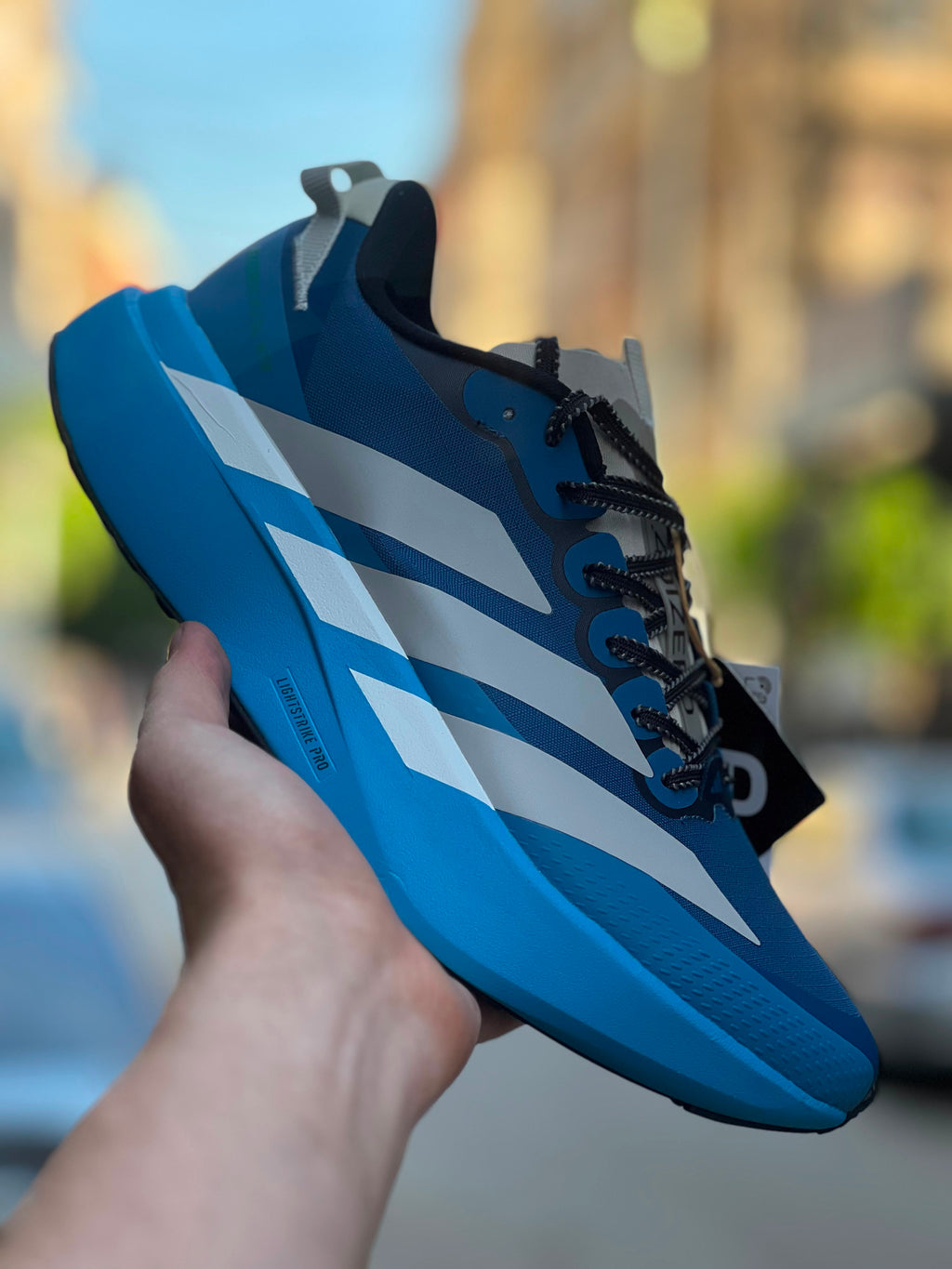 adidas Adizero EVO SL ATR striking blue (Master Quality)