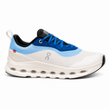 Oncloud x loewe blue white (fabric original)