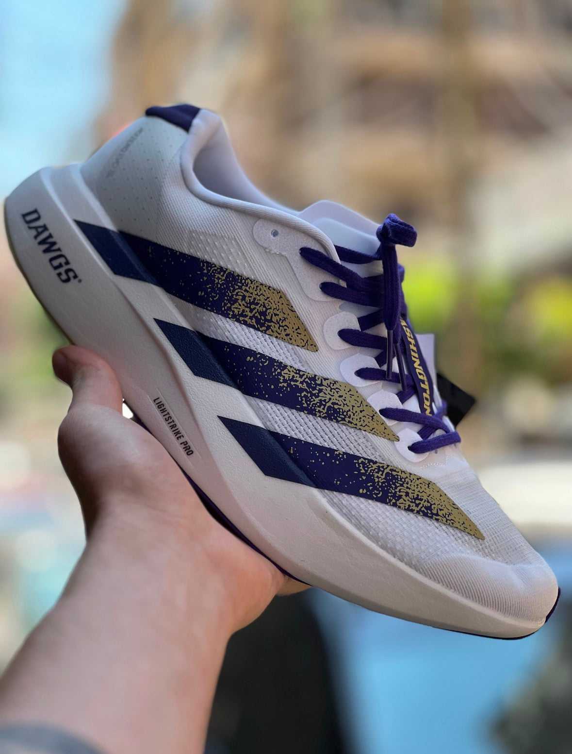 adidas Adizero EVO SL University of Washington (Master Quality)