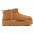 UGG low boot camel (AAA quality)